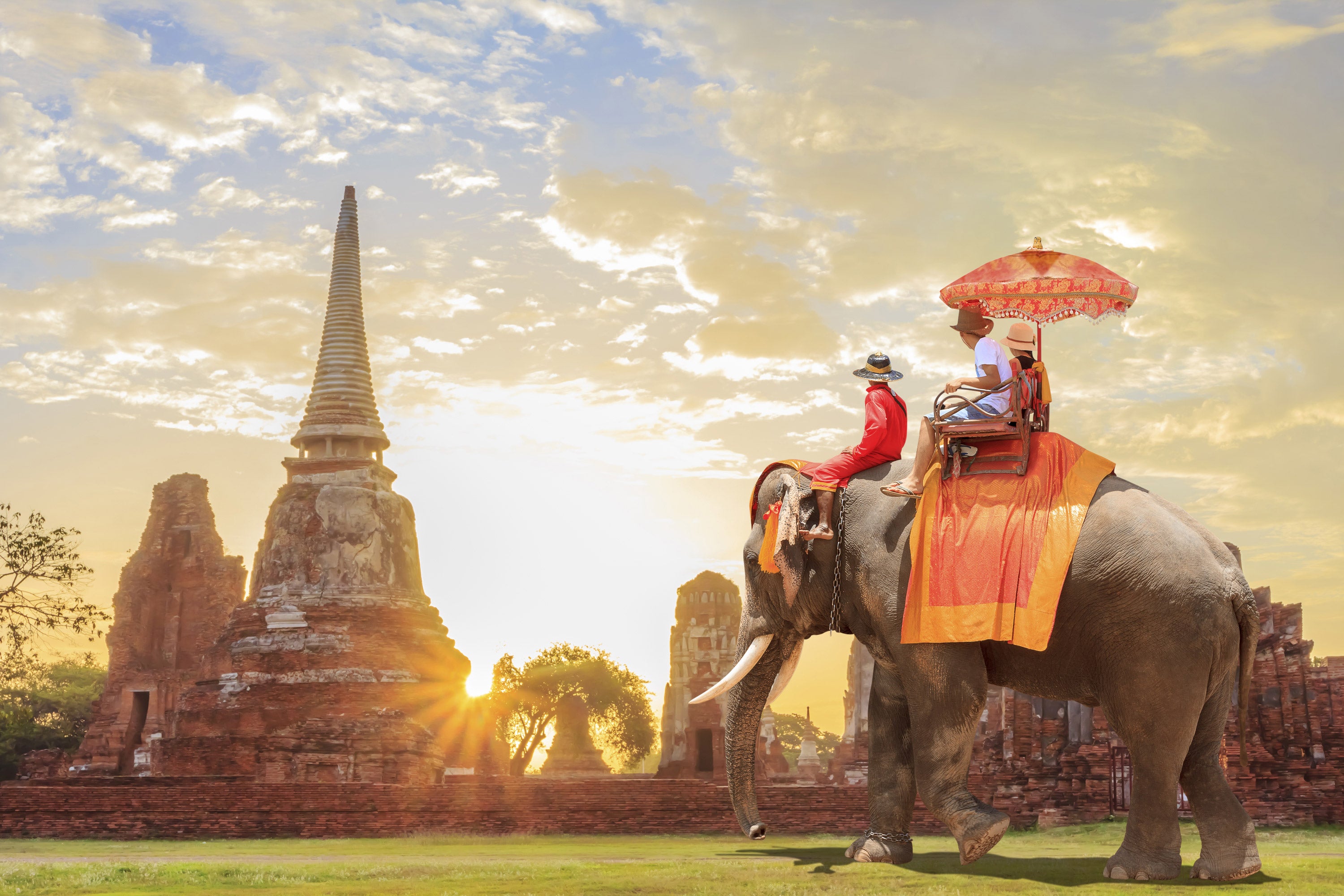 A Story Behind Thai Elephant Pants