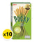 x10 POCKY Matcha Green Tea - 35g