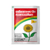 X5 Dokmai Brand Sunflower Kernels