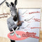 ZEBRA Stainless Spoon – 12pcs per Box