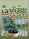 Chao Kuay Cha Kang Rao (Grass Jelly Dessert)